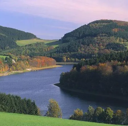 Typ Dachsbau Schmallenberg