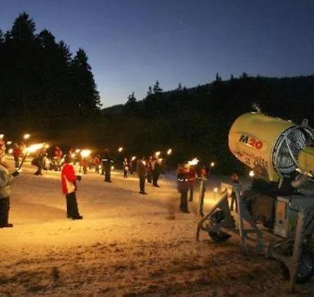 Typ Dachsbau * Schmallenberg