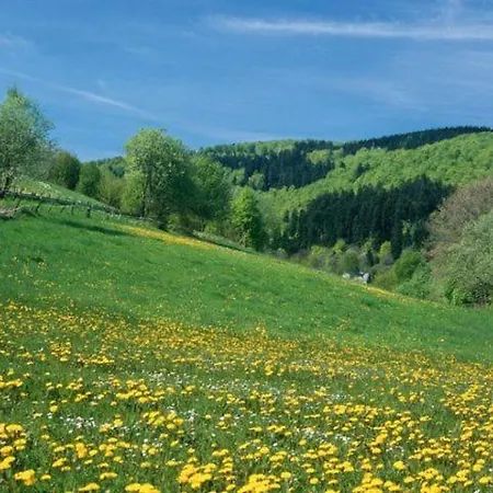 Typ Dachsbau