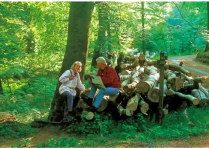 Typ Dachsbau * Schmallenberg