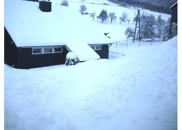 Typ Dachsbau Schmallenberg